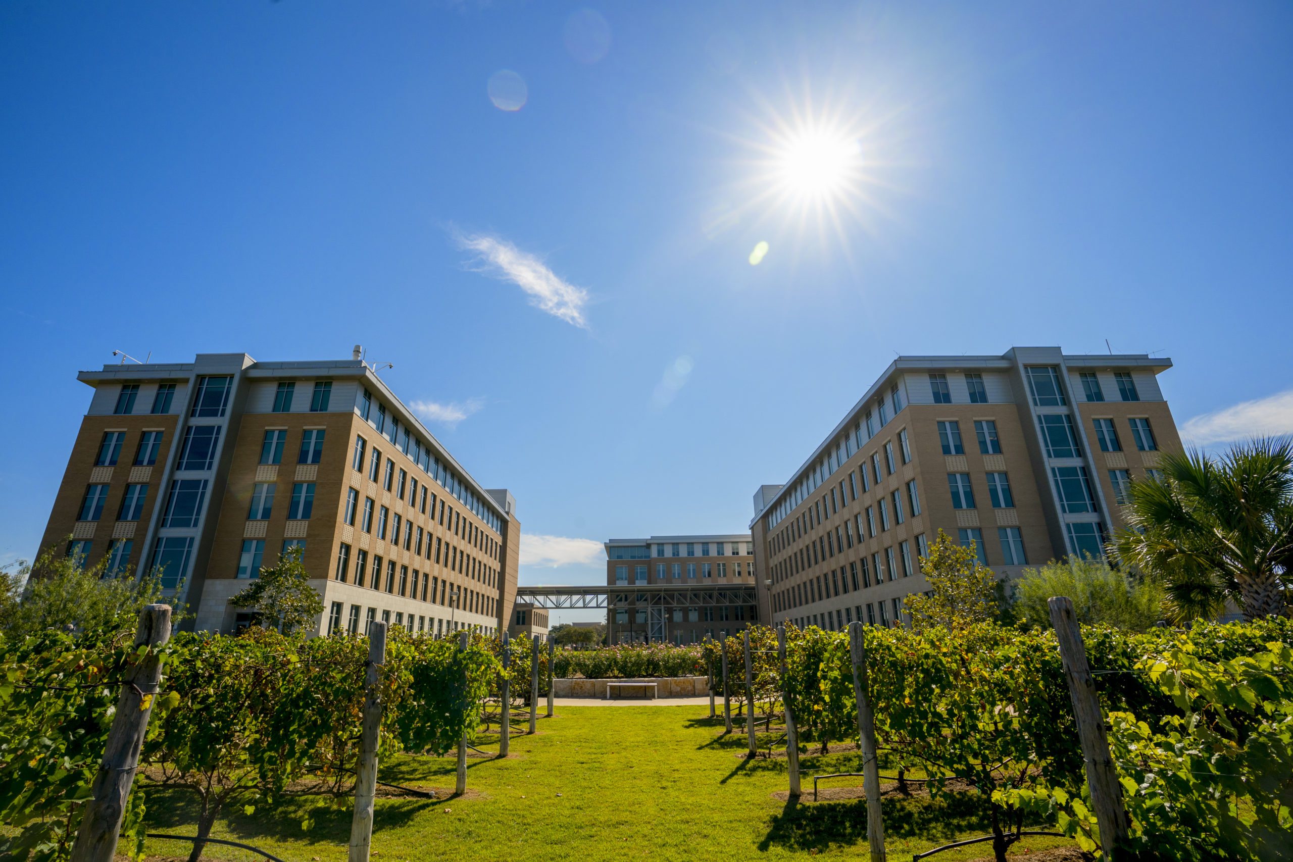 Shot of the Texas A&M Agricultural buildings