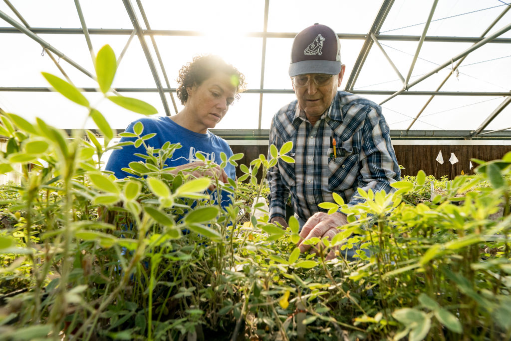 Two people analyzing plants